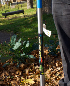 Naturezap DE,weed killer,kills weeds,weed control,light,weeder,organic,garden and lawn,gardening,lawncare,battery operated,cordless,global neighbor,lawncare products,horticulture,DIY,home improvements,light based,better environment,environmental friendly, healthier, chemical-free, without chemicals, no chemicals